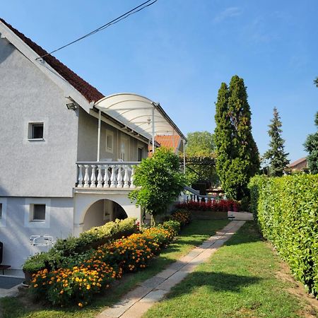 Green Garden Apartments Surčin 外观 照片