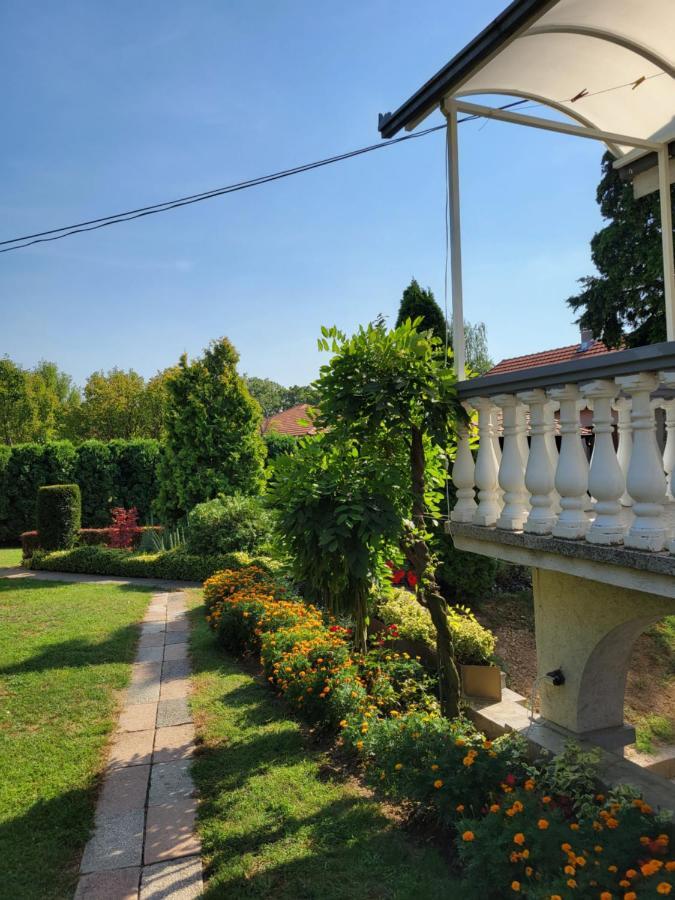 Green Garden Apartments Surčin 外观 照片