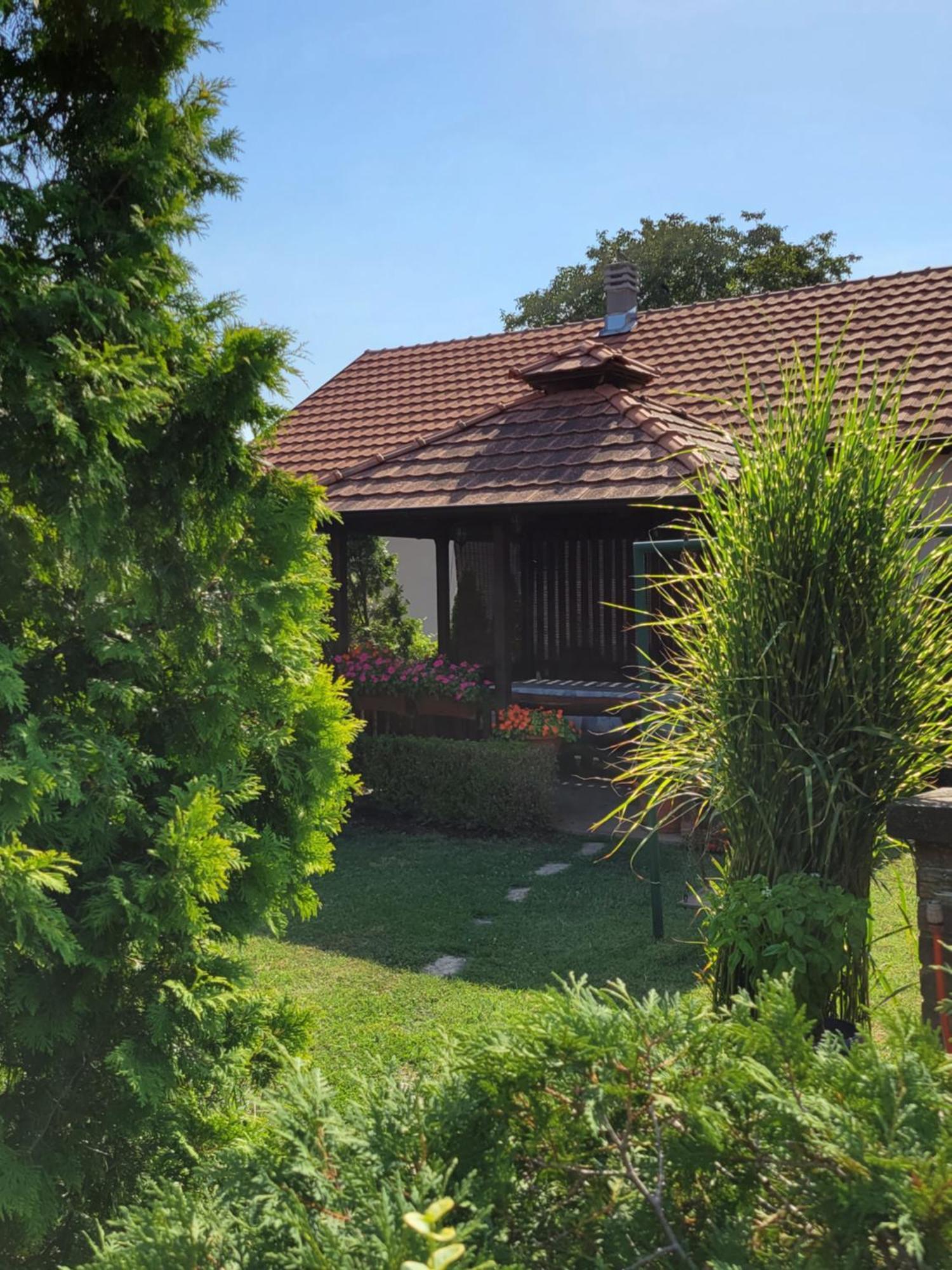 Green Garden Apartments Surčin 外观 照片